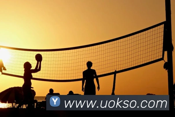 多彩内容专区